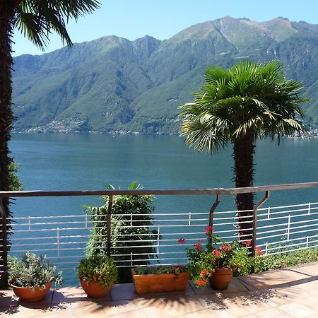 Casa Roccia Apartment Pino Lago Maggiore Exterior photo